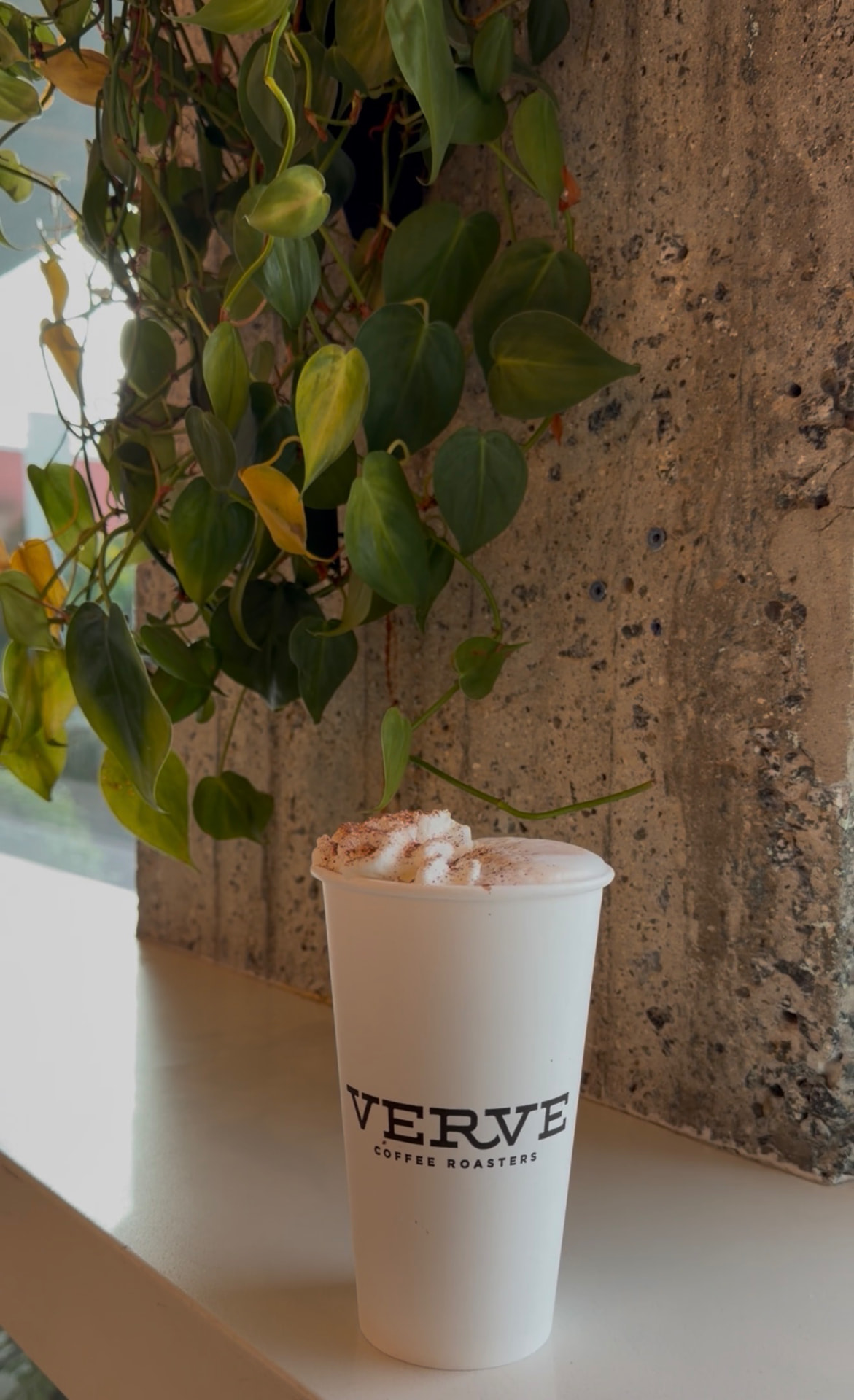 Verve Coffee Roasters cup